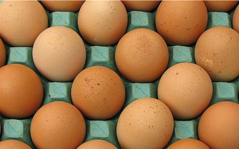 Análise do mercado do ovo pelo Cepea faz um ano