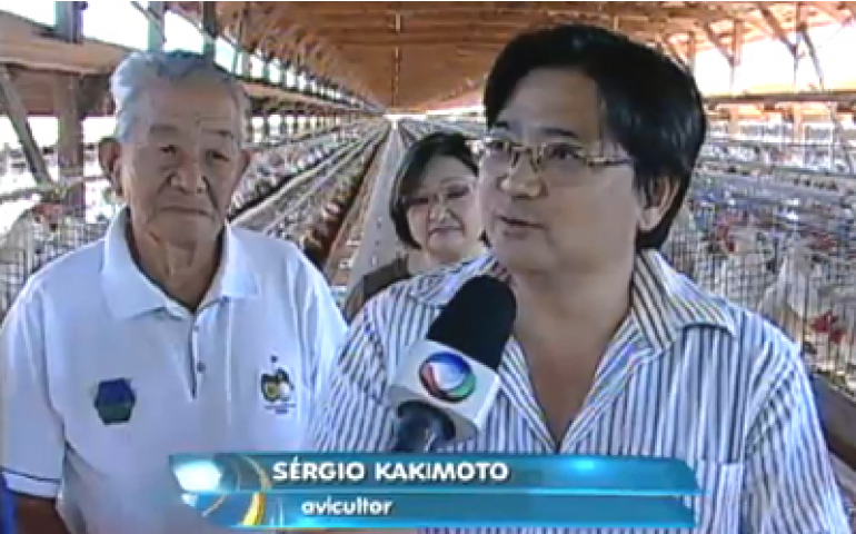 Produção de ovos de Bastos é destaque no Domingo Espetacular