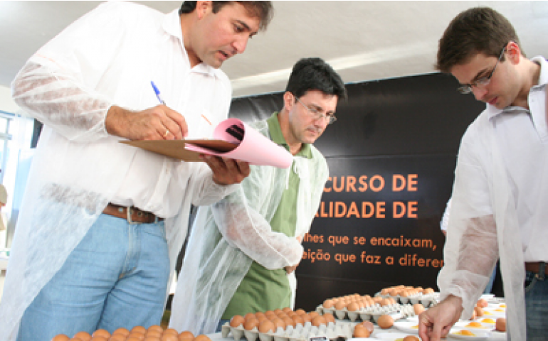São definidos os juízes do Concurso de Qualidade de Ovos de Bastos