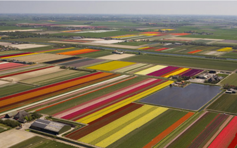 Holanda, a grande exportadora de alimentos do mundo