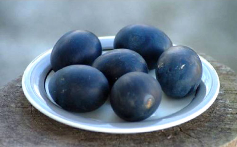 Ovos pretos de Owakudani fazem sucesso no Japão