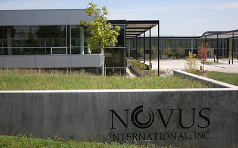 Latinoamericanos já podem contar com novo site da Novus International 