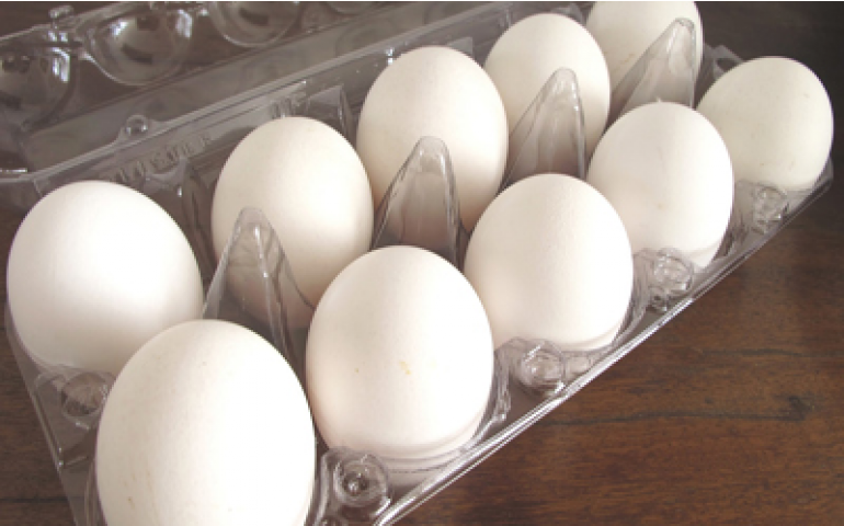Grande queda no preço dos ovos preocupa avicultores