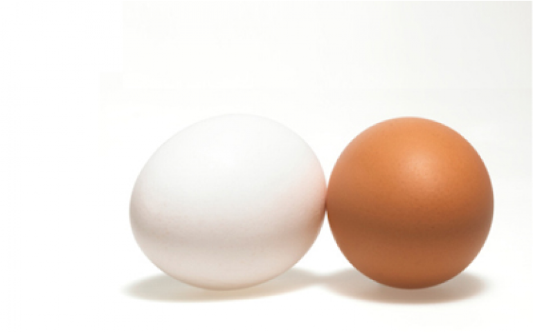 Preço do ovo sobe ainda mais em Bastos (SP)