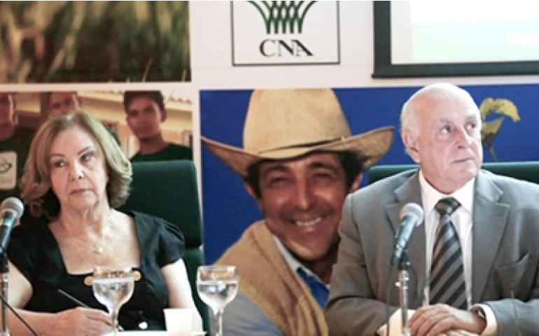 Granjas não estão adotando medidas de biossegurança contra a influenza