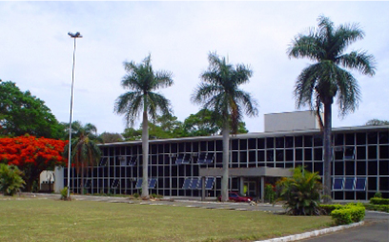 Instituto de Zootecnica volta a ter pesquisas sobre avicultura