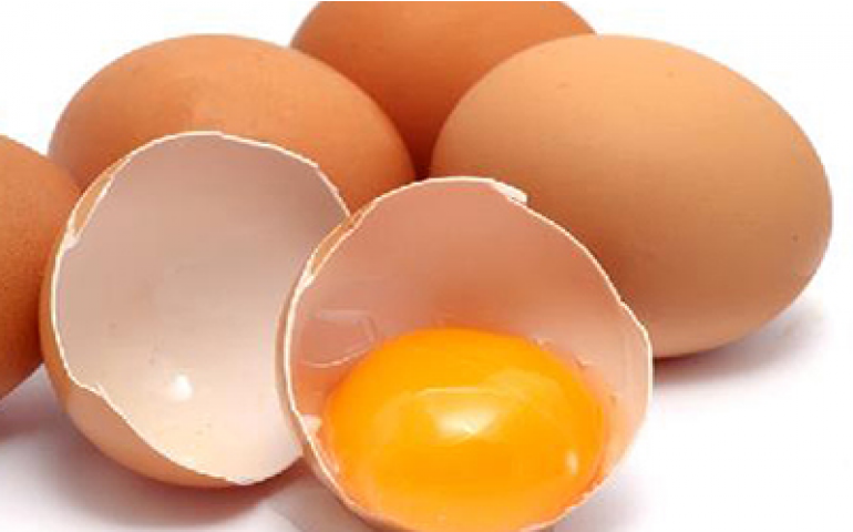 A qualidade interna do ovo