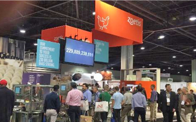 Zoetis divulga lucro referente a 2014 em níveis global e regional