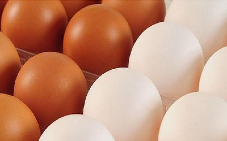 Preços do ovo continuam elevados; agora em até 37%