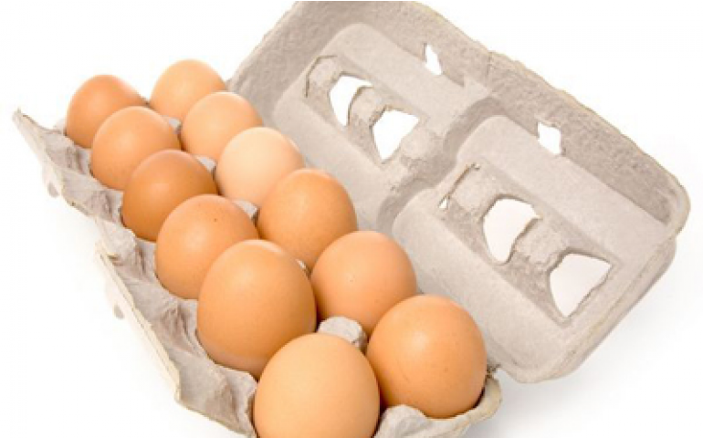 Preço do ovo para de cair com ações de avicultores e demanda aquecida