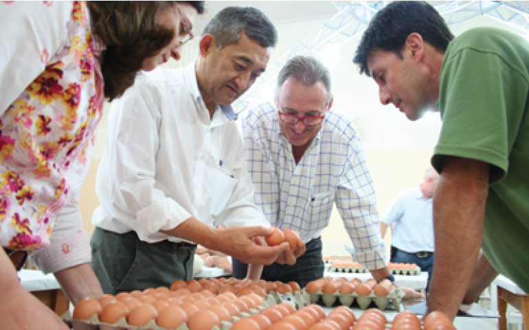 Festa do Ovo e Concurso de Qualidade de Ovos já têm datas definidas