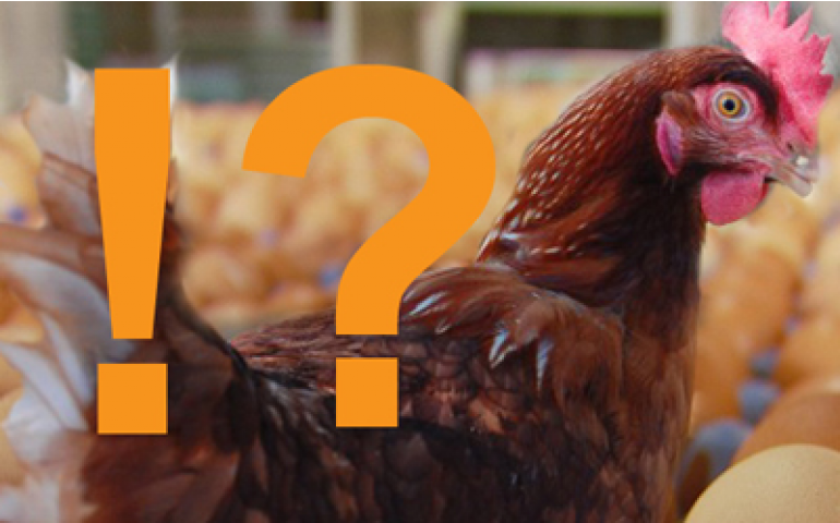 Loucura é fazer as coisas do mesmo jeito e esperar resultados diferentes