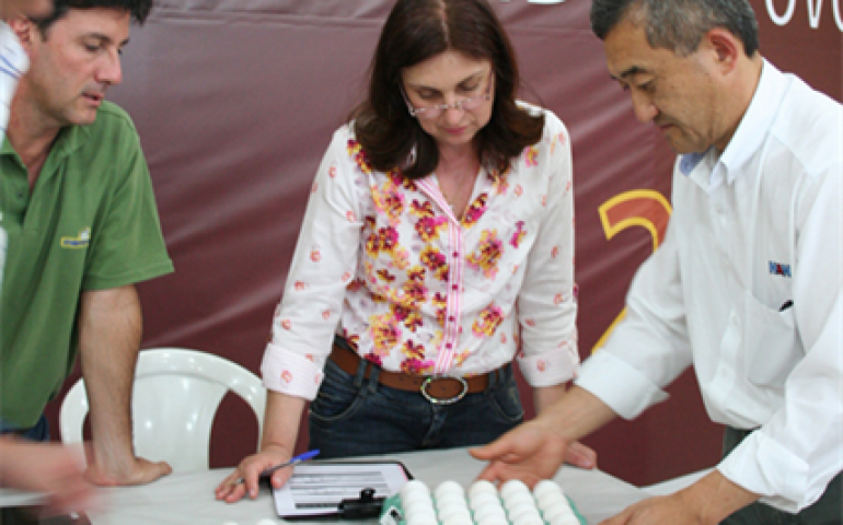 Concurso de Qualidade de Ovos de Bastos divulga seu regulamento para 2015