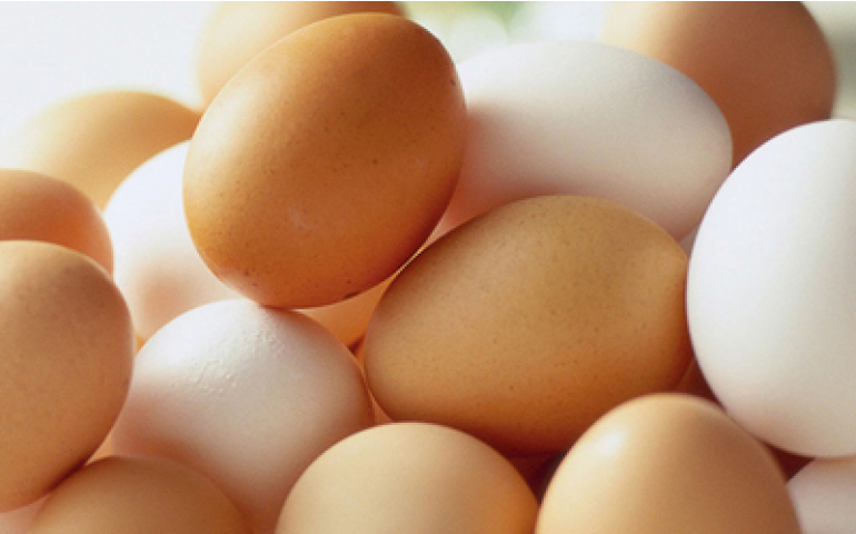 Mercado do ovo começa a reagir e pode recuperar perdas