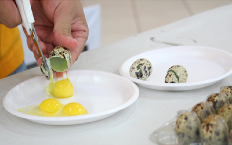 Concurso de Qualidade de Ovos de Bastos terá transmissão pela internet