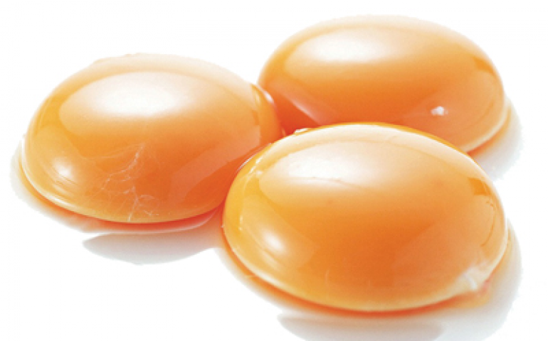 Qualidade do ovo em três faces: produtor, consumidor e sanidade