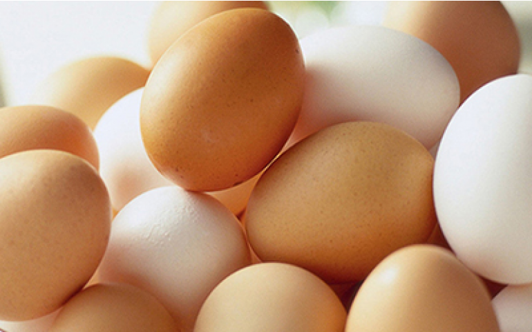 Brasil produz 725 milhões de dúzias de ovos e bate recorde