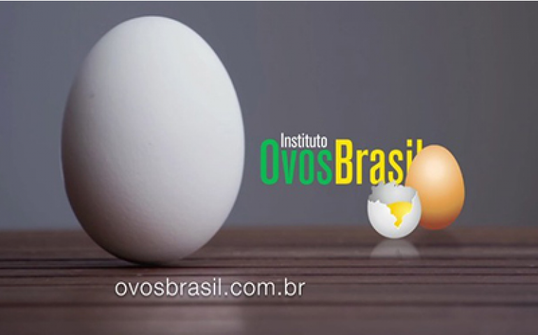Ovos Brasil lança a Semana do Ovo 2015