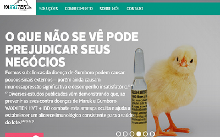 Merial comemora 10 anos da Vaxxitek com criação de site global