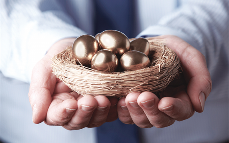 Conheça as regras de ouro para obter o melhor das aves Hy-Line