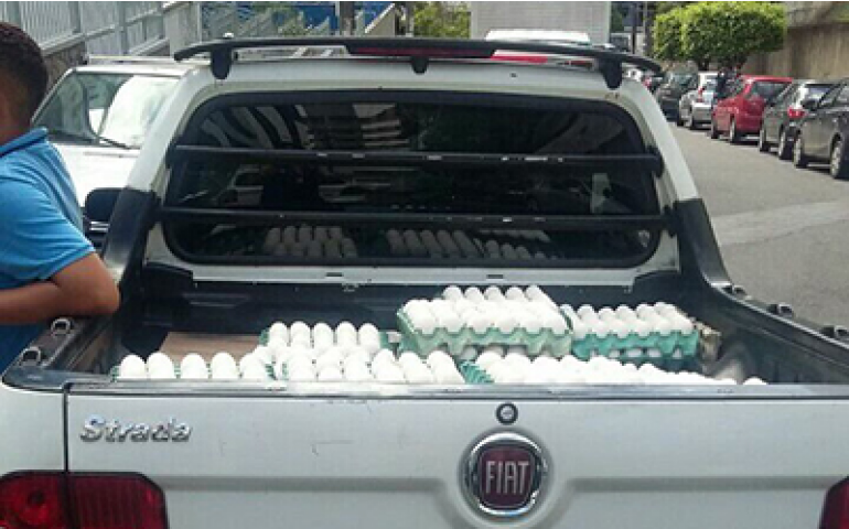 Carro do ovo? Clube de assinatura cresce na pandemia vendendo caixas com  180 ovos pela internet - Pequenas Empresas Grandes Negócios