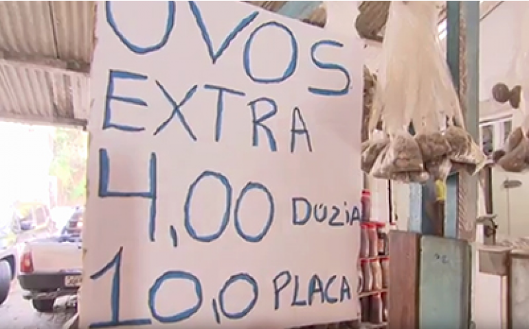 Produção de ovos cresce 5,97% em seis meses na Bahia; consumo também evolui