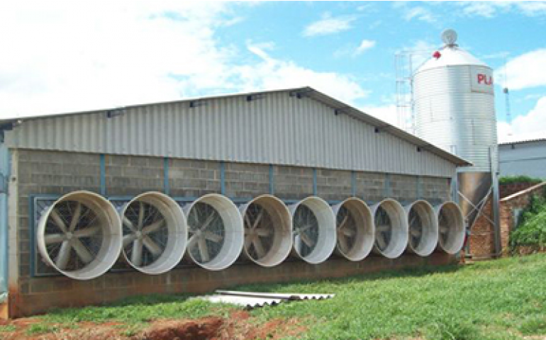 Facta realiza em Recife curso de ambiência e bem-estar na avicultura 