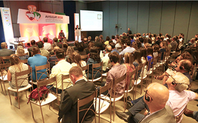 Avisulat 2016 confirma seu papel de difusor do conhecimento à avicultura