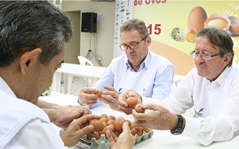 Foi nomeada a comissão organizadora do Concurso de Qualidade de Ovos 2016