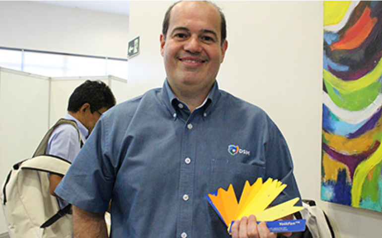 DSM lança leque YolkFan com 16 cores e novo guia para pigmentação da gema  