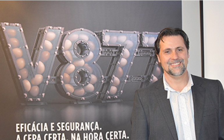 Zoetis lança no Brasil a Poulvac Magniplex contra Doença de Gumboro