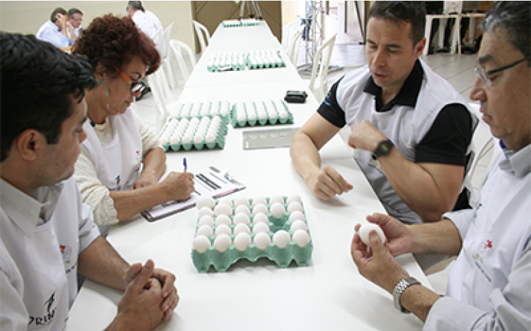 Concurso de Qualidade de Ovos de Bastos 2016 define sua comissão julgadora