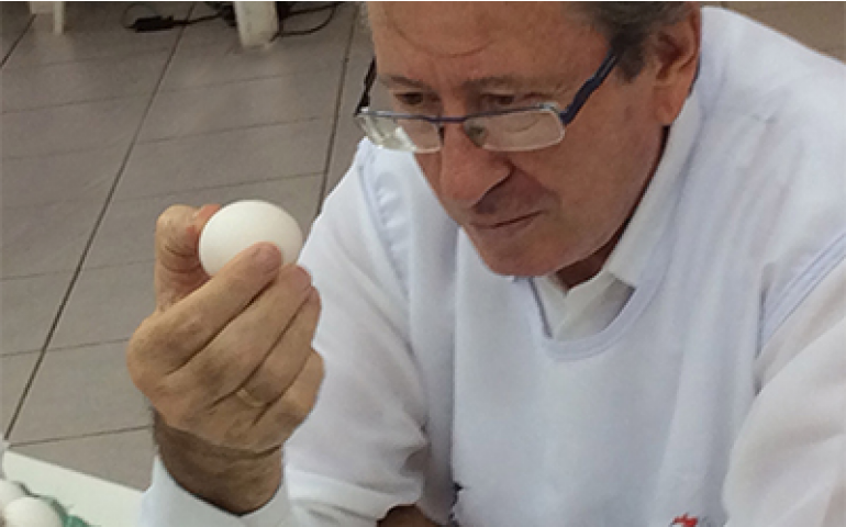 Concurso de Qualidade de Ovos de Bastos divulga regulamento para 2016