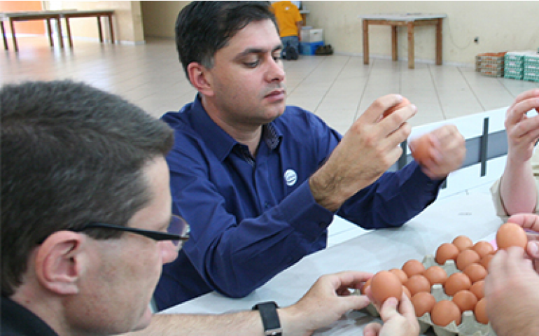 Concurso de Qualidade de Ovos de Bastos tem mudanças na comissão julgadora