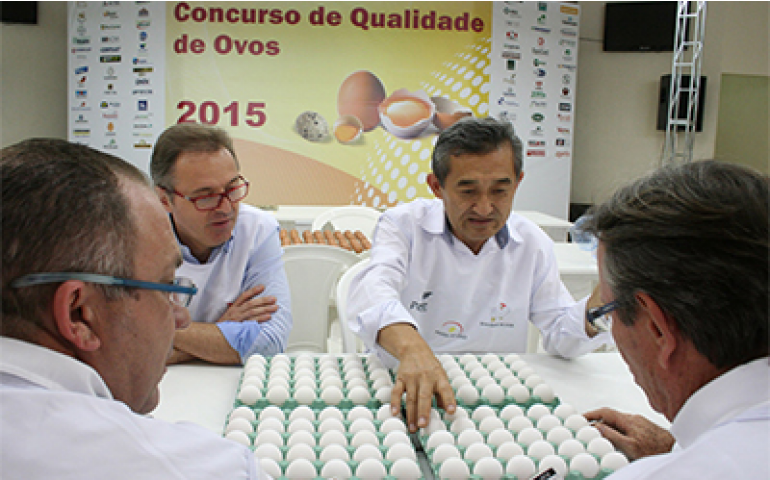 Concurso de Qualidade de Ovos de Bastos começa hoje às 13 horas