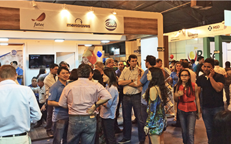 Cresce a participação de empresas na Festa do Ovo de Bastos 