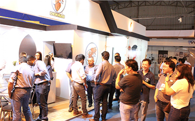 Hendrix anuncia investimento em linhas puras no Brasil 