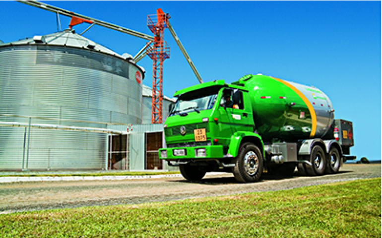 GLP é alternativa eficiente para aquecimento de aviários