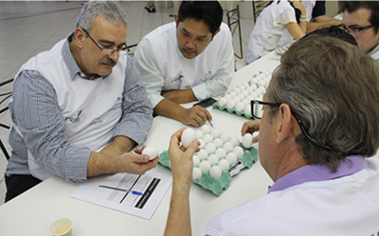 Concurso de Qualidade de Ovos de Bastos mostra sua evolução