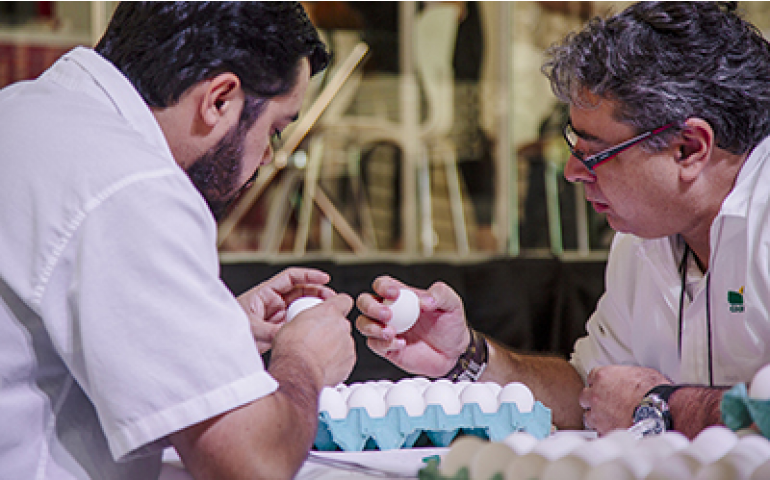 II Concurso Coopeavi de Qualidade de Ovos já tem seus 10 finalistas