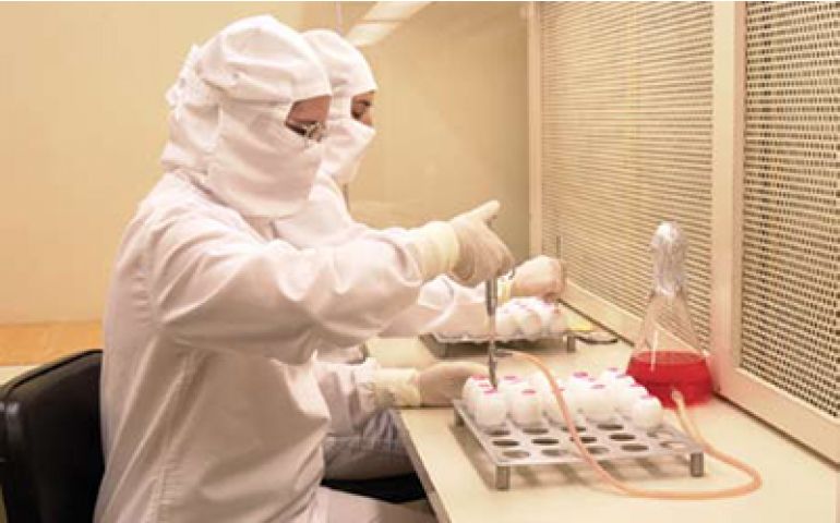 Israel autoriza Brasil a exportar ovos livres de patógenos específicos