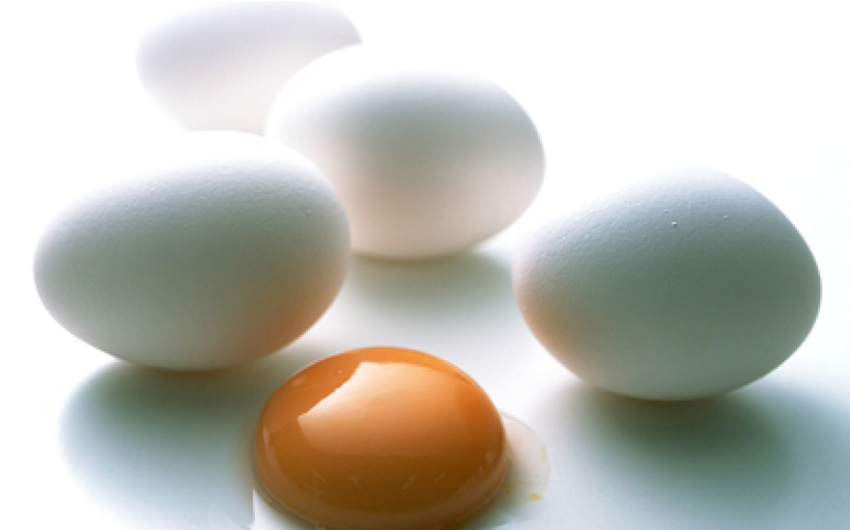 No Dia do Ovo, DSM mostra os benefícios do alimento para a saúde