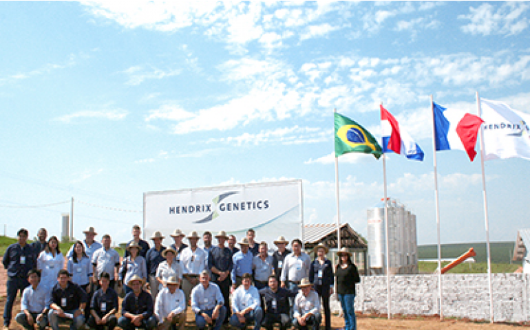 Hendrix apresenta a Granja Domélia, sua fazenda de aves bisavós e avós 