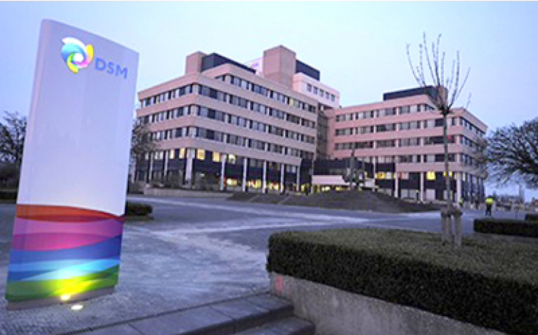 DSM cresce 26,5% na América Latina e 9% no mercado global