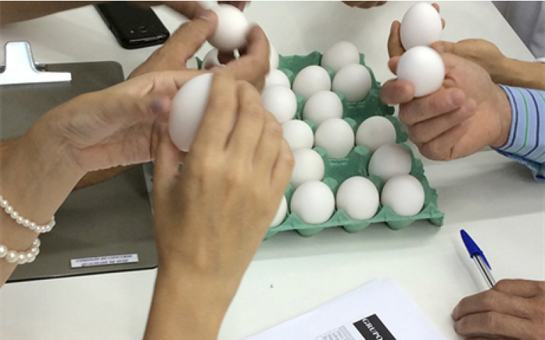 Bastos define Comissão Organizadora do Concurso de Qualidade de Ovos 2017 
