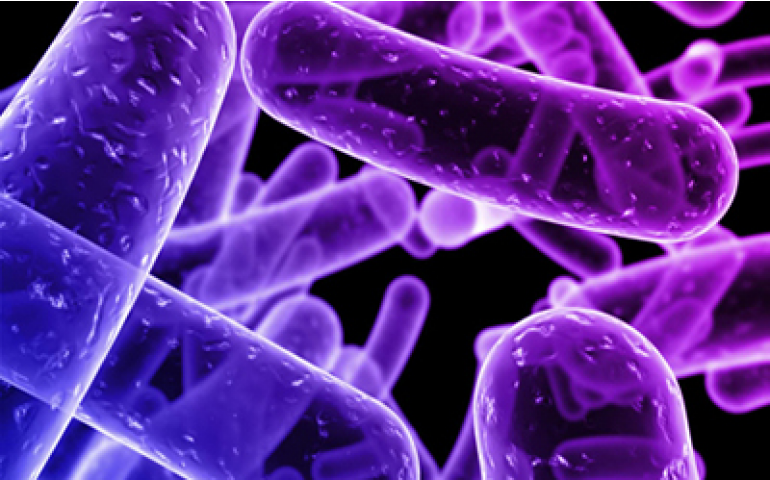 Alimentando as bactérias benéficas 