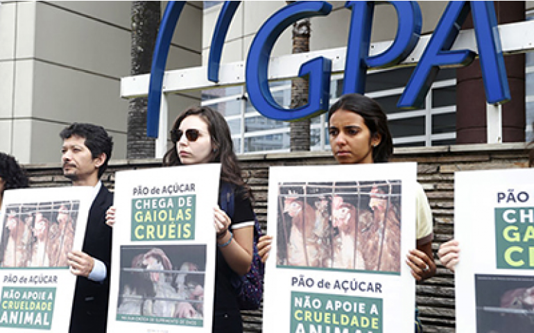 Varejistas brasileiros já convivem com exigências do bem-estar animal