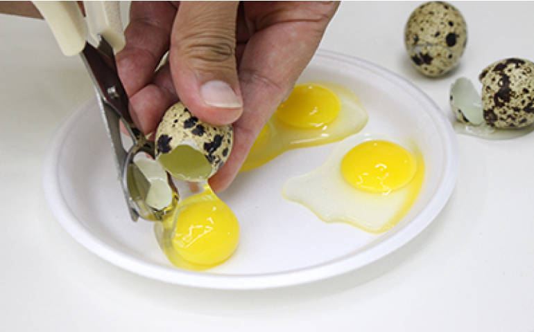 Concurso de Qualidade de Ovos de Bastos divulga seu regulamento para 2017