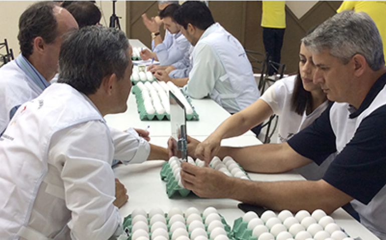 Concurso de Qualidade de Ovos de Bastos divulga comissão julgadora de 2017