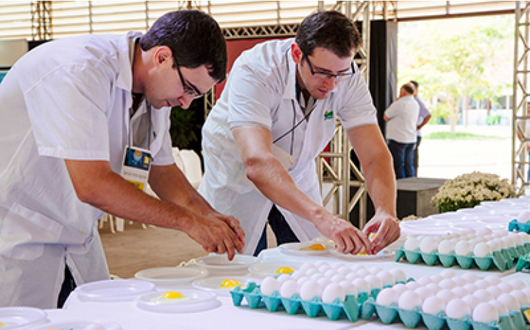 Espírito Santo realiza dois concursos de qualidade de ovos